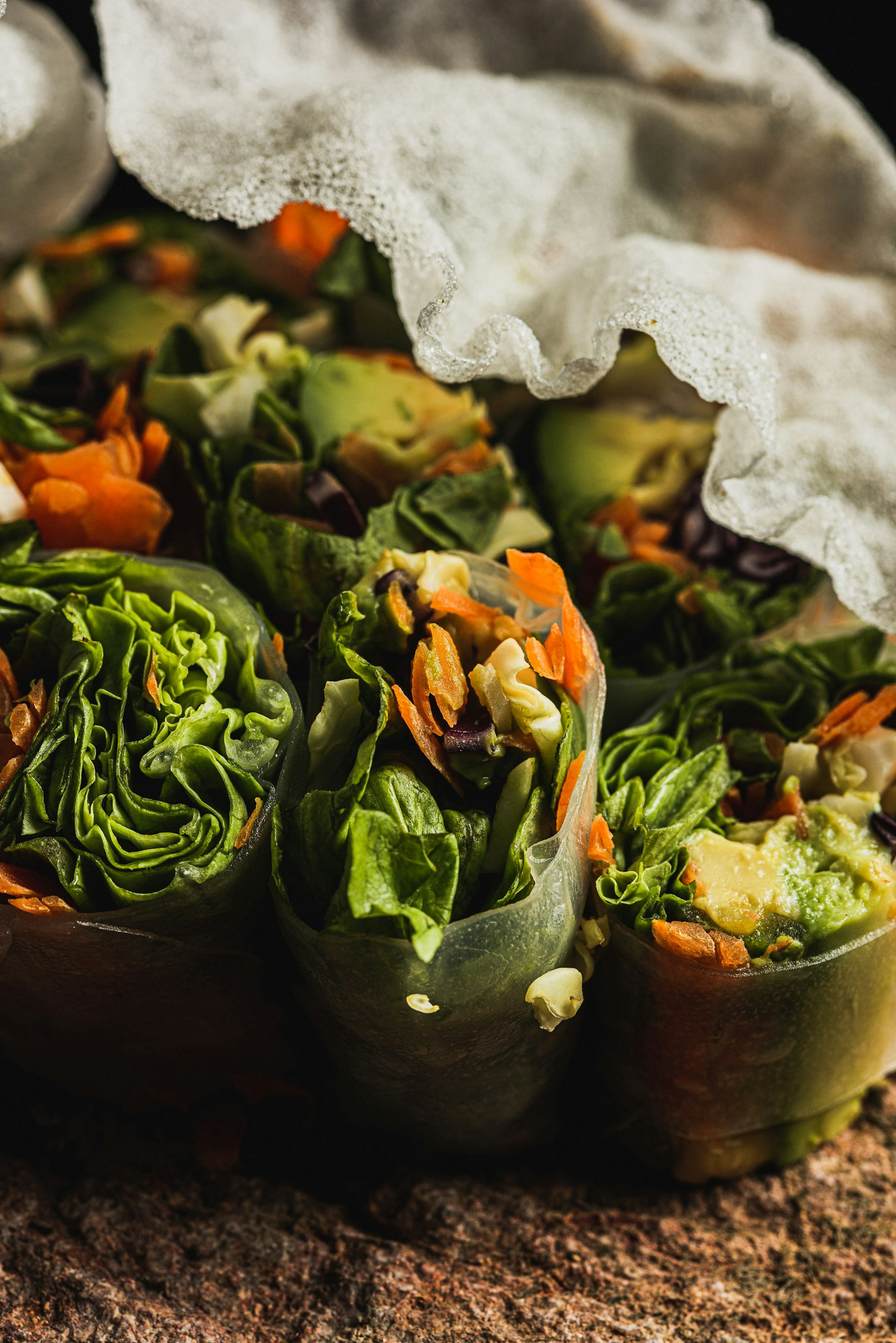 Fresh vegetable spring rolls